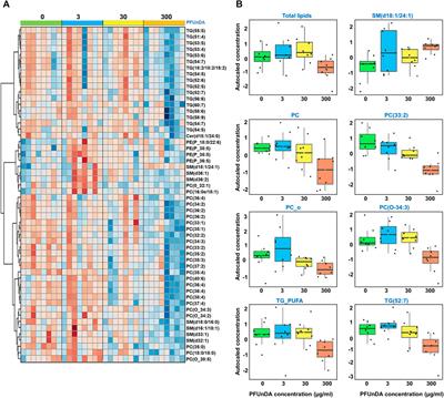 Lipidomic Analyses Reveal Modulation of Lipid Metabolism by the PFAS Perfluoroundecanoic Acid (PFUnDA) in Non-Obese Diabetic Mice